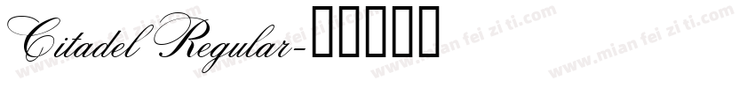 Citadel Regular字体转换